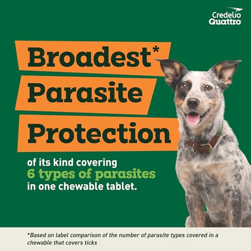 Credelio Quattro Chewable Tablets for Dogs 25.1-50 lbs, 6-in-1 Parasite Protection (6 Month Supply)