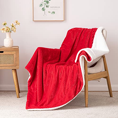 MIULEE Coperta Plaid per Letto Matrimoniale