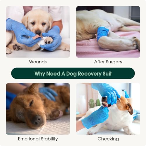 Image of Kuoser Dog Recovery Suit for Dogs After Surgery, Soft Dog Surgical Onesie for Female Male Dogs Spay Neuter, Anti-Licking Pet Bodysuit for Abdominal Wounds, Skin Disease, E-Collar Alternative, Pink 2XL