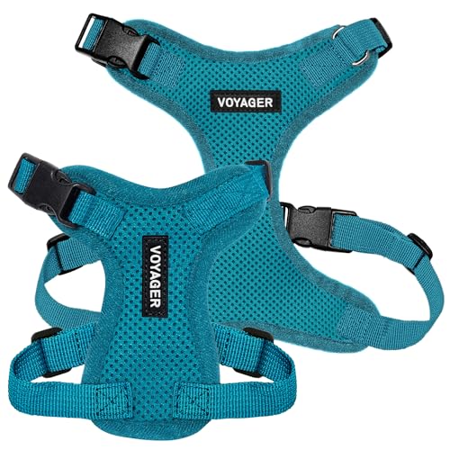 Image of Voyager Step-in Pet Harness - All Weather Mesh, Adjustable Step in Harness for Cats and Dogs by Best Pet Supplies - Turquoise, XS