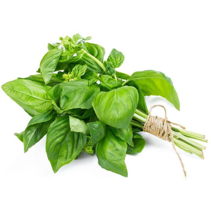 Basilic 30 g
