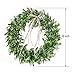 16 inch Artificial Green Leaf Wreath with Bow Spring Front Door Wreath St Patricks Day Wreaths for Front Door