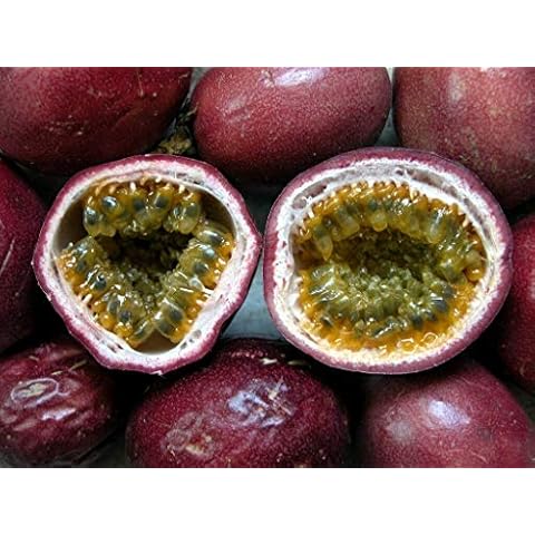 Passion Fruit Seeds by Mndrlin Cover