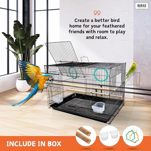 Image of BURAQ 2 Ft Metal Birds Cage With 3 Swing Bird Toys - Best For Love Bird Cages | Parrot | Parakeet | Hammock | Large Bird Cage (Size - 23.5 inch Long, 16.5 inch Wide And 16 inch Height), Black