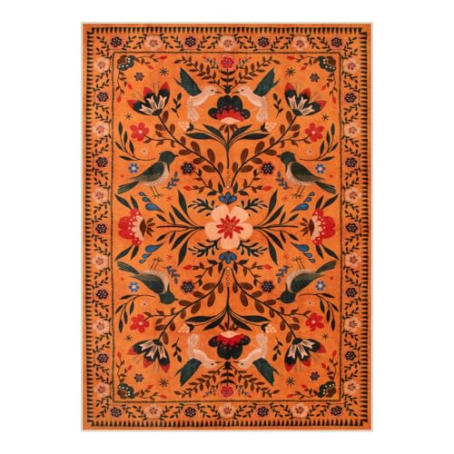 Moynesa Bedroom Rug 5x7