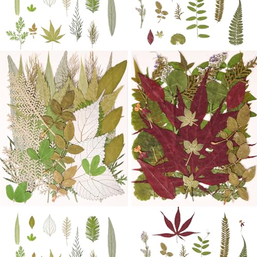 Image of 100 PCS Real Pressed Dried Leaves with Tweezers | Natural Dried Flowers, For Resin, Candle, Jewelry, Scrapbooking & DIY Crafts, Leaves 100