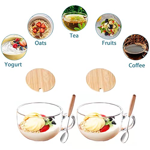 Donyu 2 Pieces Glass Cup 16Oz Clear Coffee Mug With Lids Spoon For Breakfast Tea,Milk,Beverage,Oats,Yoghurt #TOP1