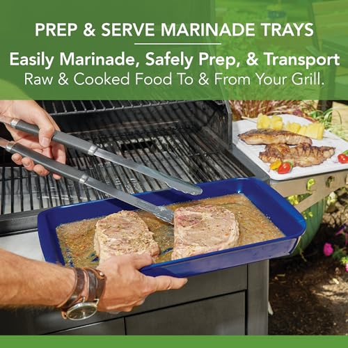 Image of Tovolo Steak Marinating Container Large Grill Marinade and Prep Tray Set for Meat Veggies Burgers, Dishwasher Safe BBQ Marinating Tray with Cover for Thawing Prepping or Serving 17x10.5 in