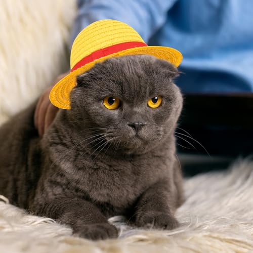 Sombrero de paja para mascotas para fiesta Halloween miniatura 4
