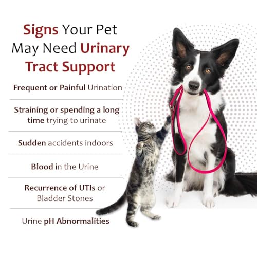 Image of K-Plus Potassium Gluconate Renal Gel Plus Cranberry and EPA for Dogs and Cats - Veterinarian Approved Renal Supplement - Supports Potassium Balance -(2 Pack)