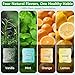 Natural Herbal Air Stick, Quit Bad Habit Air Device, Upgraded Version Smokeless Inhaler for Habit Control, Non Electric Long-Lasting Flavored Air Diffuser 4 Pack