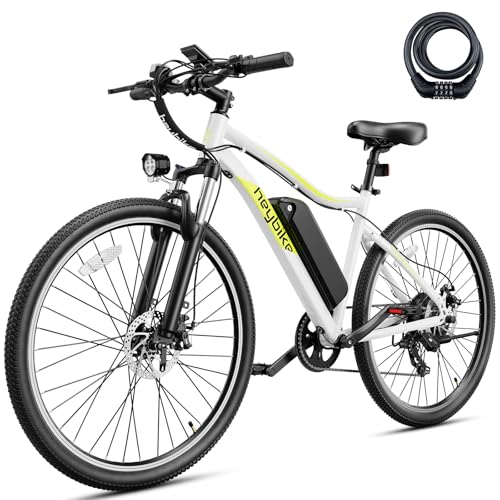 Heybike Race Max Electric Bike for Adults with 750W Peak