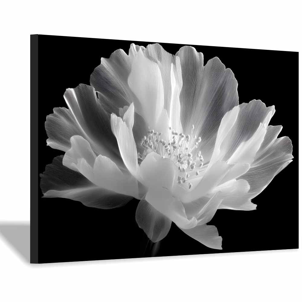 ZAMAEIU Large Nature Canvas Paintings Prints Line-drawn peony Landscape Picture, Modern Living Room Decor, Dining Room Hallway Home Decoration(black and white)-60x90cm Framed