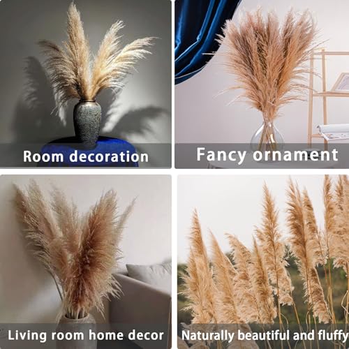 Pampas Grass pack de 10 piezas decorativas natural miniatura 7