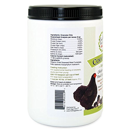 Fresh Eggs Daily Coop Kelp Organic Chicken and Duck Feed Supplement 7LB - Thumbnail 7