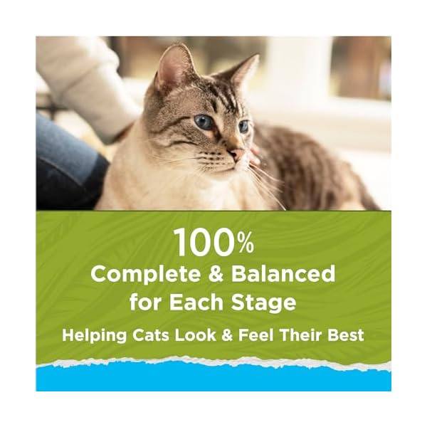 Purina Cat Chow Dry Cat Food, Naturals, 13 Pound Bag by Purina Cat Chow – Bild 8