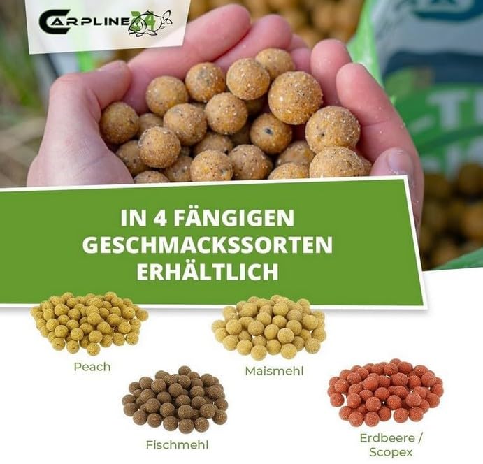 Futterboilies Erdbeere - 10 kg - 16 mm - Karpfenköder zum Angeln, Futterboilies zum Anfüttern von Karpfen, Carp Baits, Angelfutter mit Lockstoff