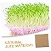 Happyyami 4pcs Tray Pad Microgreens Growing Trays Sprout Seedling Microgreens Paper Grow Mats for s Seeding Supplies Germination Paper Seeding Jute
