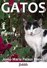 Capa de GATOS [1]