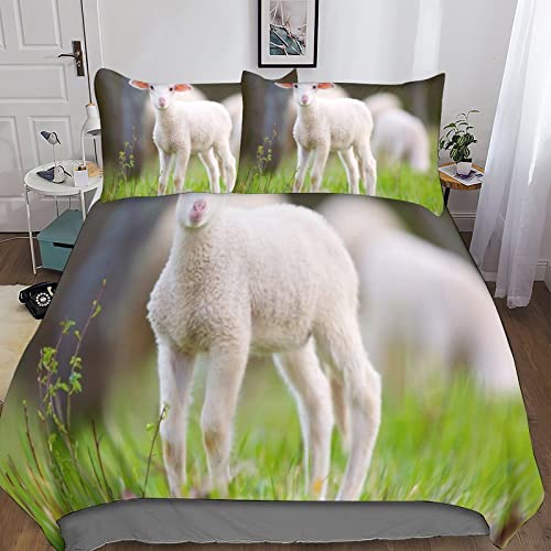 Housse de couette mouton microfibre anti-plis avec fermeture éclair fluide