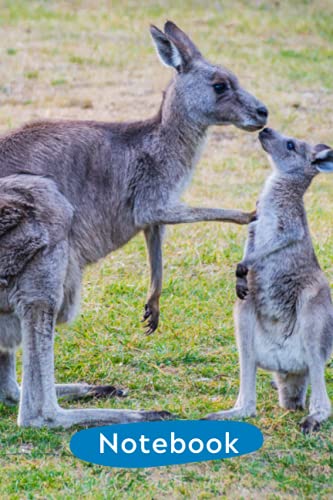 Kangaroo Notebook: Kangaroo Lined Journal for Kids, Girls, Men, Women, Toddlers, Teens, Adults and Kangaroo Lovers | Infocus kangaroo notebook, Notes, ... | 110 Blank Pages 6 x 9 | Fathers Day Gifts