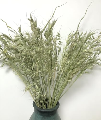 Bouquet de Espigas de Trigo Secas Naturales para Decoración miniatura 2