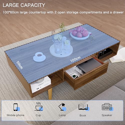 AnneFish 100 * 50cm Coffee Table With Storage, Sofa Table Double-layer Simple Installation Coffee Table For Living Room With Drawer 100 * 50 * 45.5cm