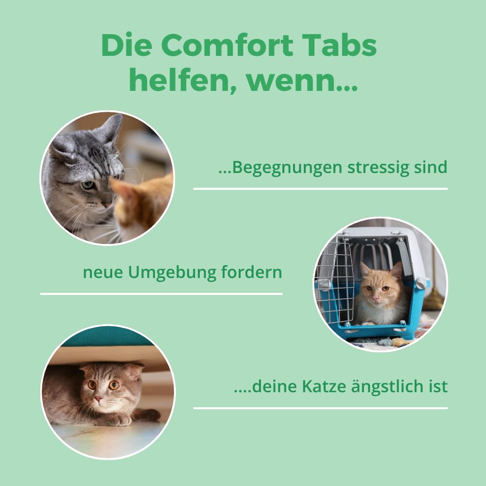 Comfort Katzen Tabs – Natürliches Beruhigungsmittel mit Tryptophan, Calcium & B Vitaminen – bei Stress, Angst & Silvester. Für entspannte Katzen in jeder Situation. Lecker + wirksam |240 Tabs