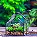 NCYP Mini Glass Geometric Terrarium with Lid - 4.25