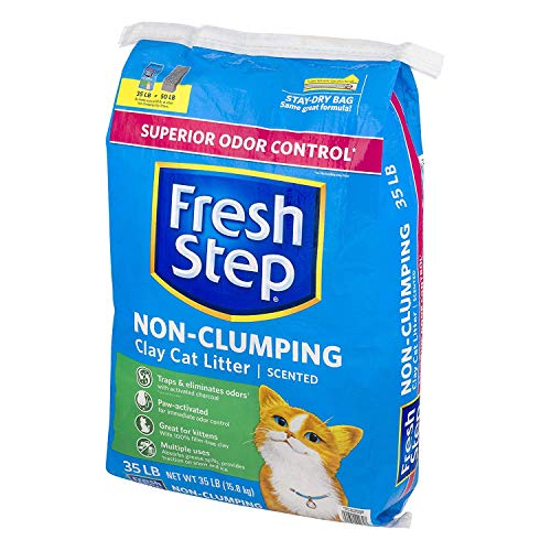 fresh step cat litter amazon
