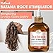 Difeel Batana Root Stimulator 7.1 oz. - Batana Oil Hair Treatment, Revitalize & Nourish Hair