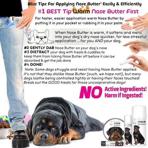 Image of The Blissful Dog Rottweiler Nose Butter for Dry, Cracked Skin, Lick-Safe Dog Nose Balm with Moisturizing Shea Butter, Almond, Olive, and Essential Oils, Pet Supplies, Uncented, 1 oz.