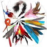 onebarleycorn - Katzenspielzeug,Interaktives Katzen Spielzeug mit Federn Katzenangel, Teaser mit 1 Skalierbar Stangen 8 Katzenangel Ersatzfedern Feder Katzenspielzeug Set für Katze,Katzen