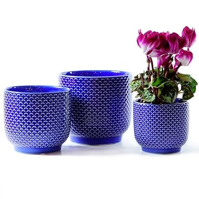 Homephyte 4 + 5 + 6 Inch Ceramic Pot for Indoor-Outdoor Plants, Succulents Plant Pots, Orchid Flower Pots with Drainage Hole, Modern Stoneware Pots Planter, Set of 3 (Dark Blue, 4+5+6 Inch)