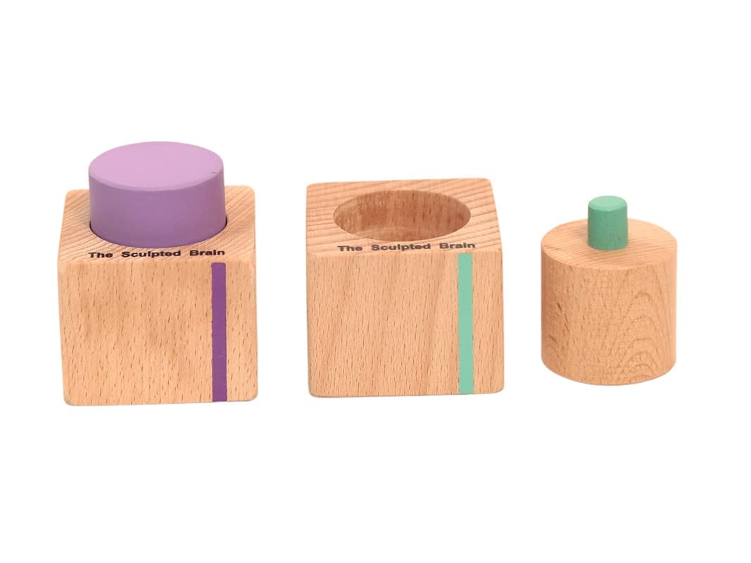 The Sculpted Brain Palmar and Pincer Grasp Cylinders for Kids 8 Months & Above, Montessori Toy, Wooden Toys, Wooden Puzzles, Developmental Toys, Child Safe, Gift for Boys & Girls (B0BV23T1V7) Amazon Price History, Amazon Price Tracker