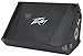 Peavey PV 15M 2-Way Floor Monitor