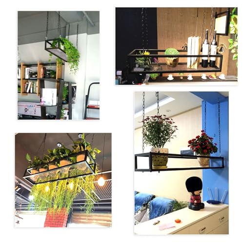 Étagère à vin de plafond pour bar et restaurant avec support plantes - 6