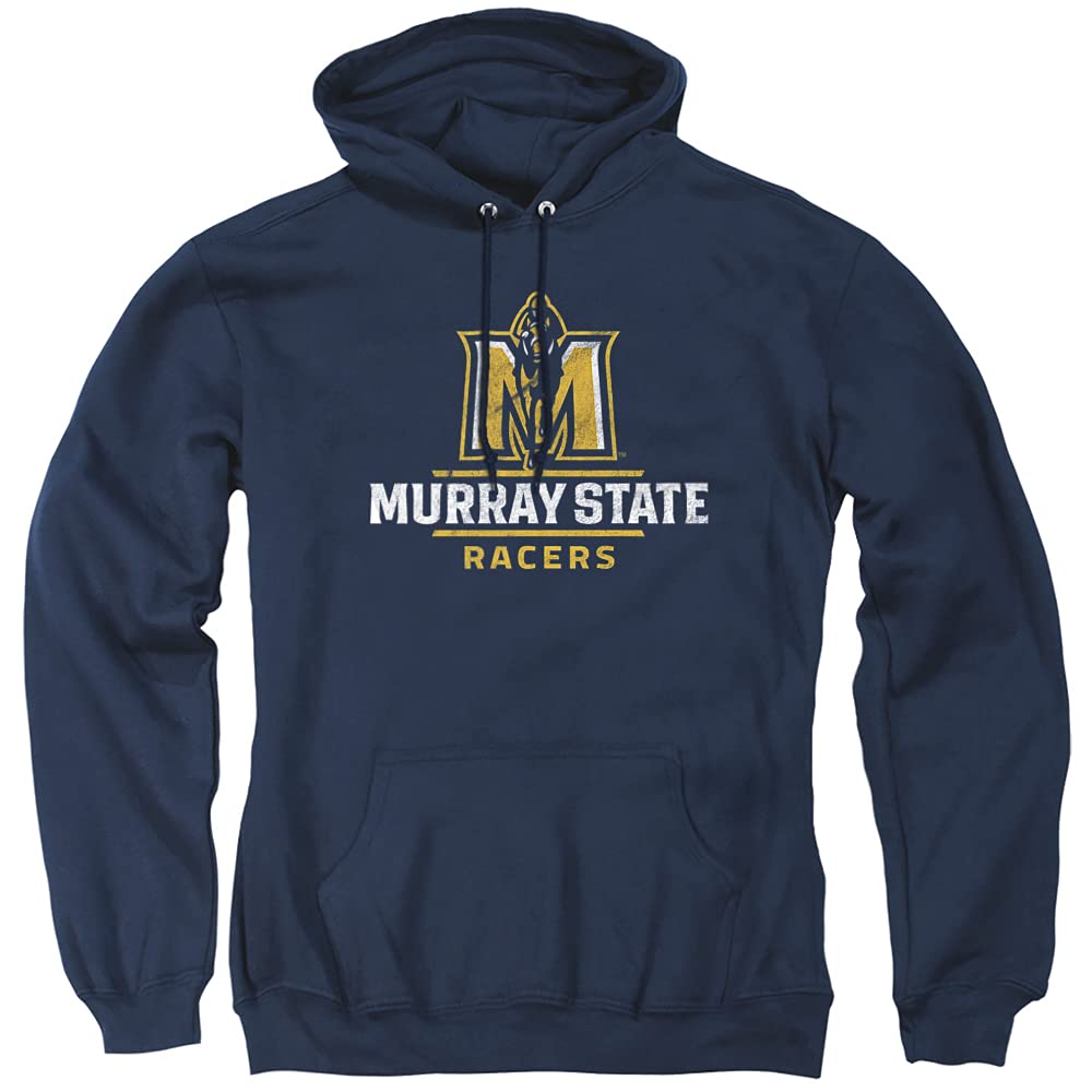LOGOVISION Official Collegiate Distressed Primary Logo Adult Pullover Hoodie Collection — view 304