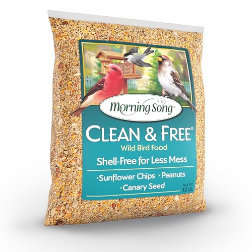 Morning Song Clean & Free No Mess Wild Bird Seed – 12 lb. Shell-Free Bird Food Blend with Sunflower Chips, Peanuts & Canary Seed – No Waste Bird Food for Outside Feeders - Image 2