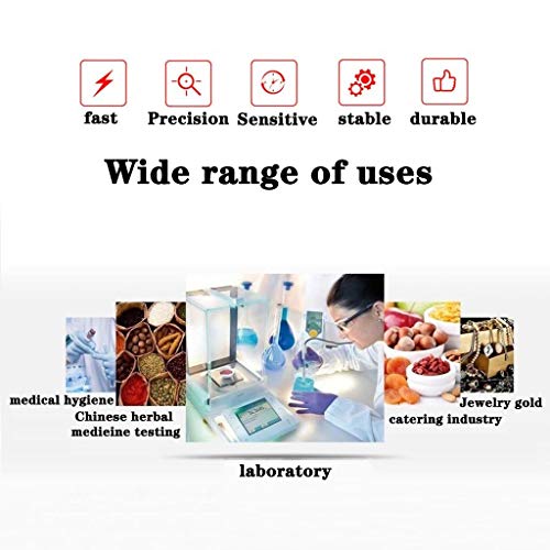 Bilancia analitica di precisione 0,001 g, Bilancia Digitale di precisione da Laboratorio, Elettronica scientifica, Display LCD con paravento (310 g/0,001 g) ()