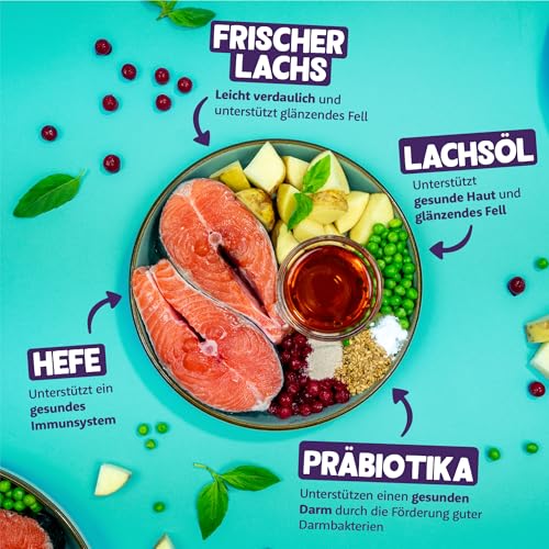 Edgard & Cooper Katzenfutter, Trockenfutter für Katzen, (Lachs, 2kg), Getreidefrei, voll von frischem Fisch und natürlichen Zutaten, geeignet für sterilisierte und aktive Katzen