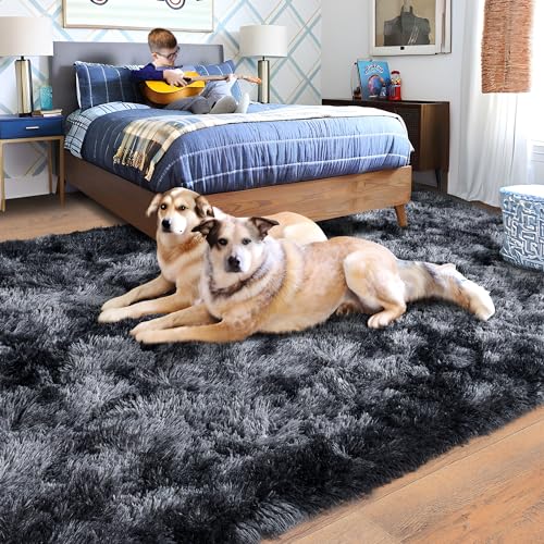 Rugs for Bedroom 4x6, Soft Shaggy Modern Shag Area Rug for Living Room, Upgrade Non-Slip Plush Fluffy Carpet for Kids Boys Girls Room Home Decor Aesthetic, Dark Grey