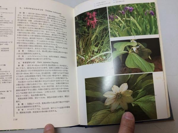 原色高山植物大図鑑 81Z4dkwittL._AC_UL210_SR210,