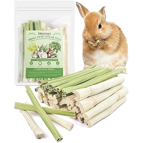 Bissap 40PCS Rabbit Chew Sticks, 20PCS Sweet Bamboo Chew Sticks & 20PCS Papaya Stems Bunny Chews for Rabbit Hamster Chinchilla Guinea Pig Small Animals Natural Molar Treats Cover