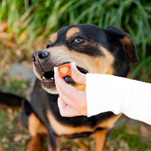 Image of Ark Naturals Protection+ Brushless Toothpaste - Medium Breeds, 54oz Bag - Dog Dental Chew with Toothpaste Center - Prevent Plaque & Tartar and Freshen Breath with Dental Chews for Dogs
