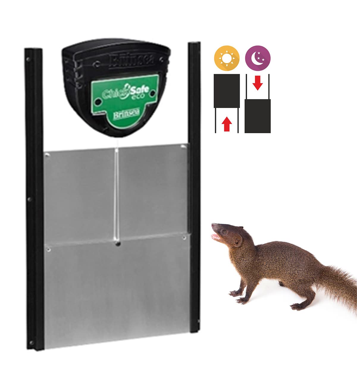 Puerta automática gallinero BRINSEA Chicksafe Eco + Puerta de Aluminio. Gallinas Felices y a Salvo de Depredadores