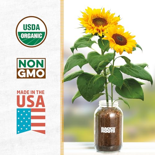 Back to the Roots Sunflower Organic Windowsill Planter Kit - Grows Year Round, Includes Everything Needed for Planting by Back to the Roots - Image 2