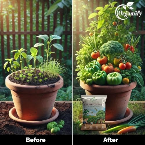 Image of Vermicompost for Plants 1 Kg - Organic Fertilizer & Manure