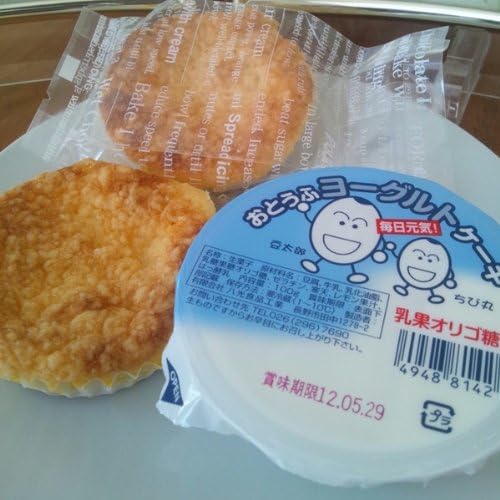 Amazon お豆腐ヨーグルトケーキ100gx6個 おからチーズケーキ6個 糖類オフ 八光食品 あさひ屋 ケーキ 洋菓子 通販