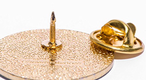 TCDesignerProducts 20 Year Service Star Award Pin with Glitter Ribbon2